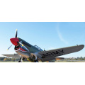 New Arrival Hot Selling DIY P40 12CH RC Plane